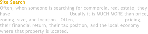 Site Search Info